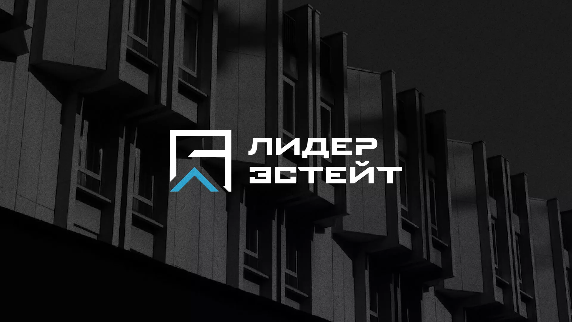 Разработка логотипа агентства недвижимости «Лидер Эстейт» в Белебее